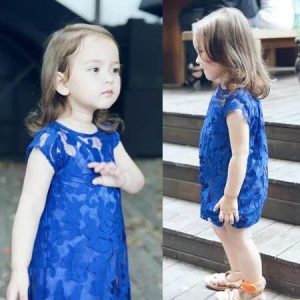 52-84-Lace Short Sleeved Dress 2Pcs